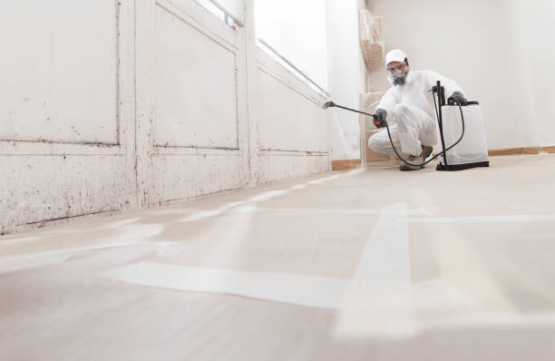 24/7 Emergency Mold Remediation experts in Newaygo, MI